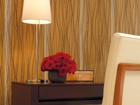 Hunter Douglas Dealer Image